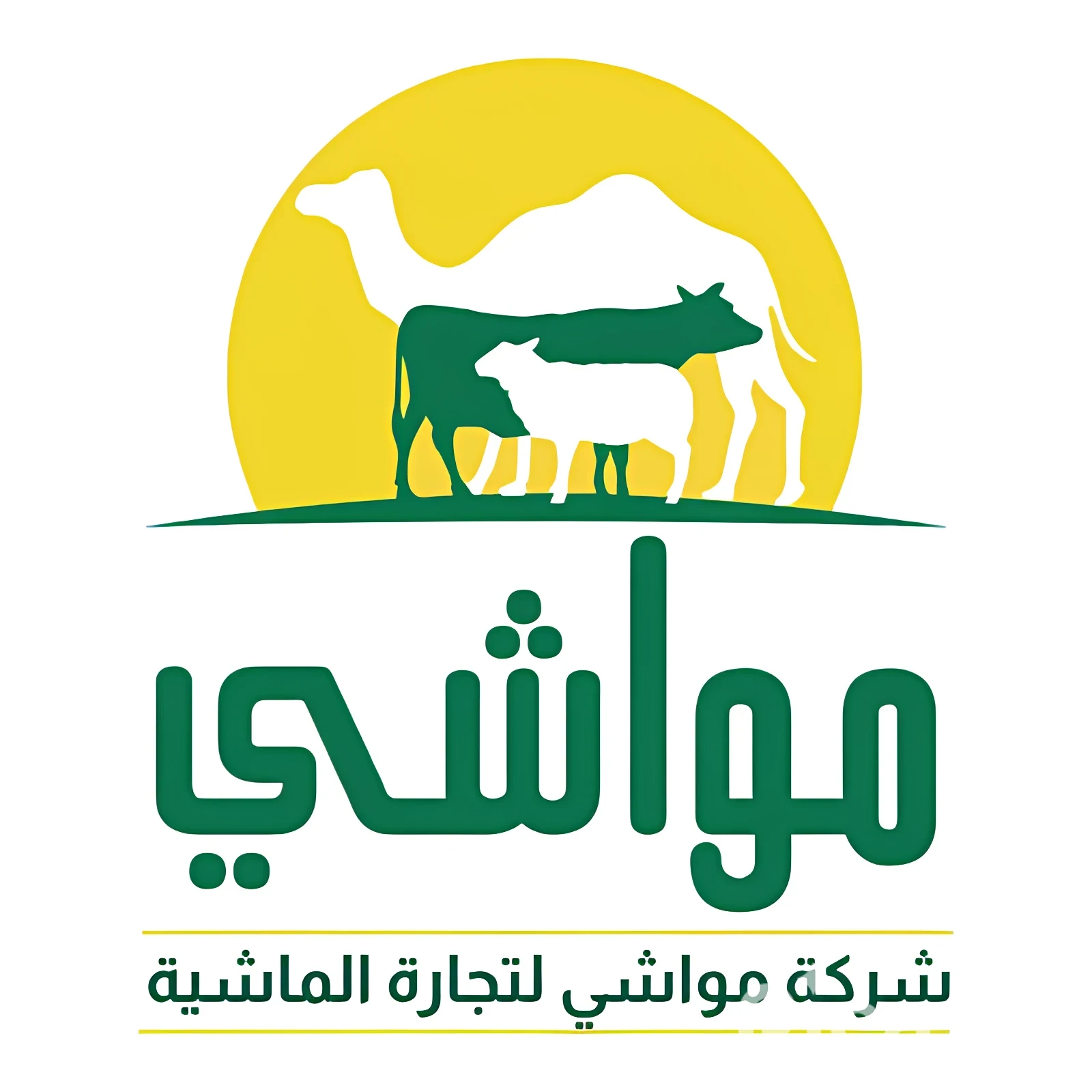 عن الشركة