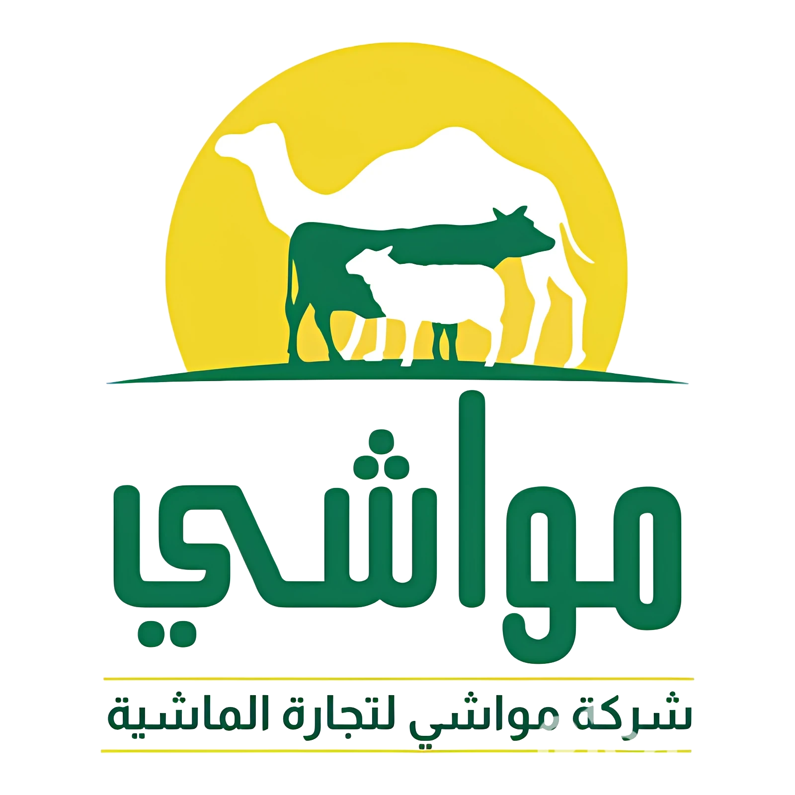 عن الشركة